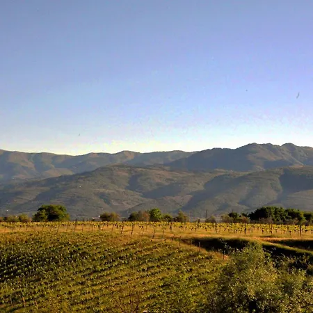 Il Pino - Bioagricoltura * Monticello