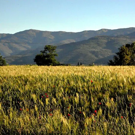 ファームステイ Il Pino - Bioagricoltura *
