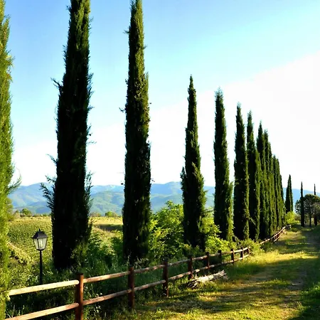 Il Pino - Bioagricoltura Monticello