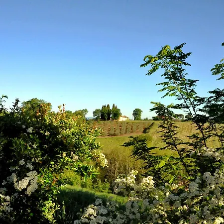 Il Pino - Bioagricoltura ファームステイ Monticello